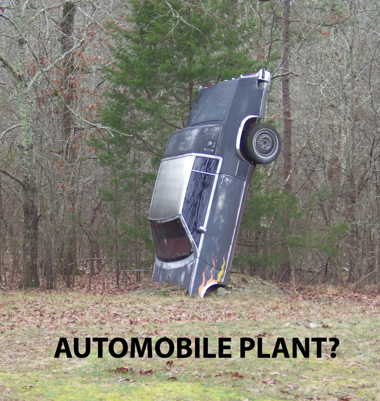 Auto Plant?